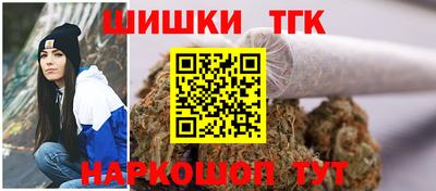 спиды Обь