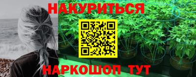 спиды Обь
